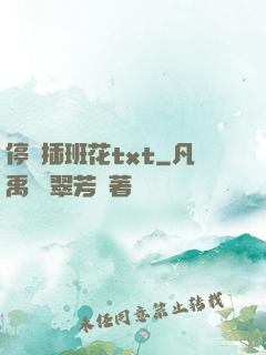 停電插班花txt